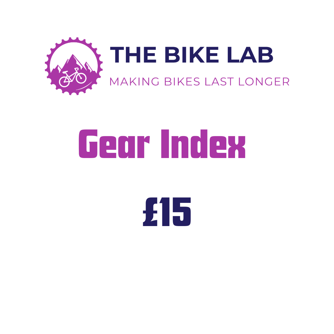 index gearing Gear – The Bike Lab COLOR:Gloss Red Pearl / Black / Metallic White Silver travel fahrradtaschen für hinten Back-Roller