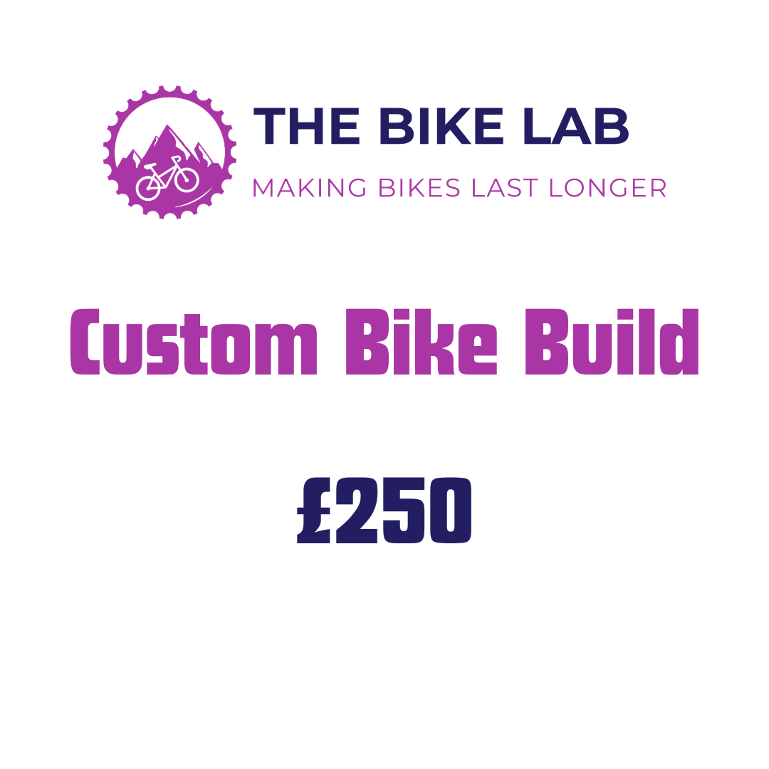 Custom Bike Build